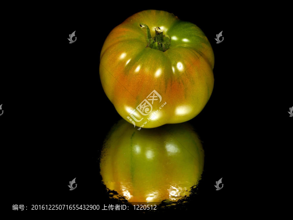 鮮食番茄