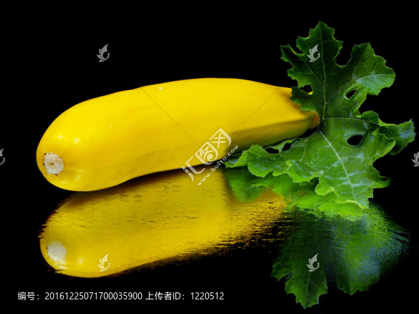 黃西葫蘆葉片
