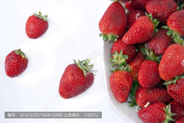 草莓白