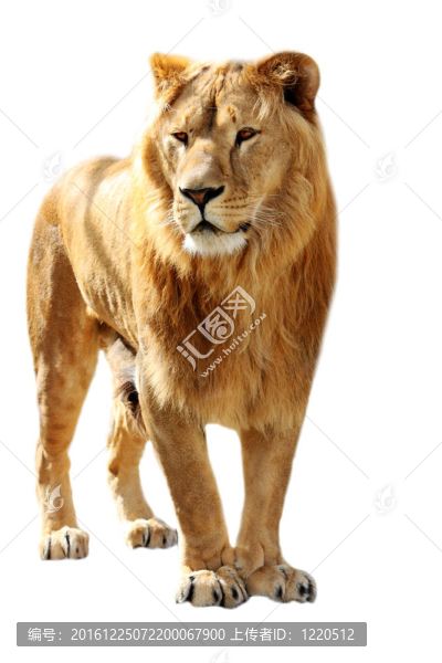 獅子林