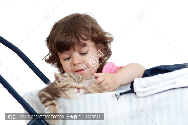 逗小孩玩可愛小貓