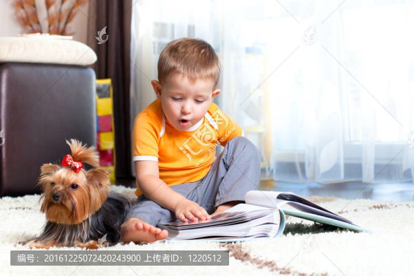 小男孩與狗約克