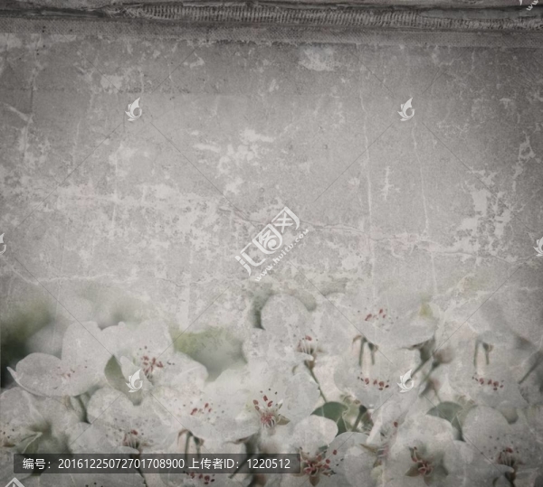 櫻花之Flowers