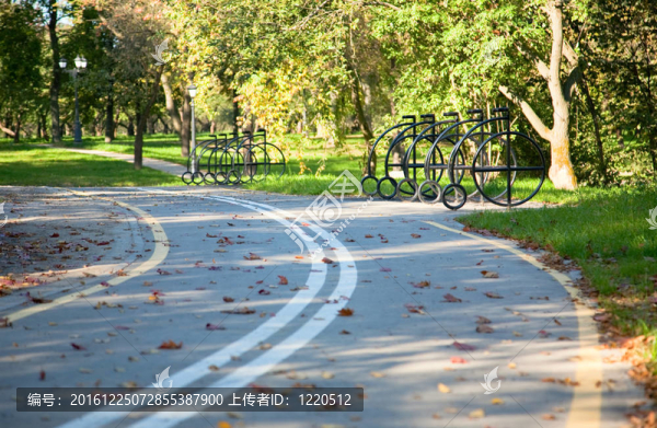 自行車道路