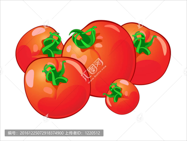 西紅柿圖