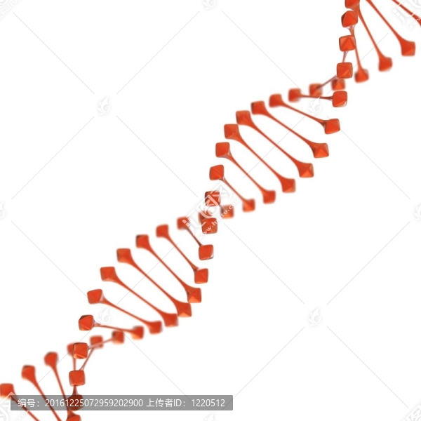 白背景DNA