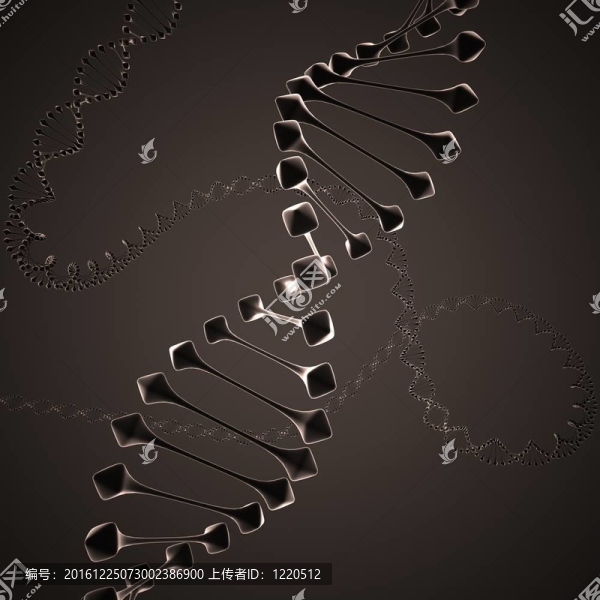 黑色的DNA