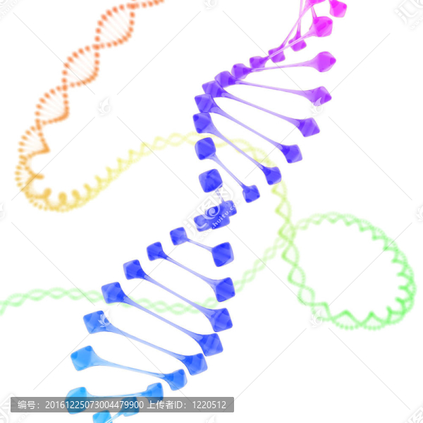 白色的彩色dna