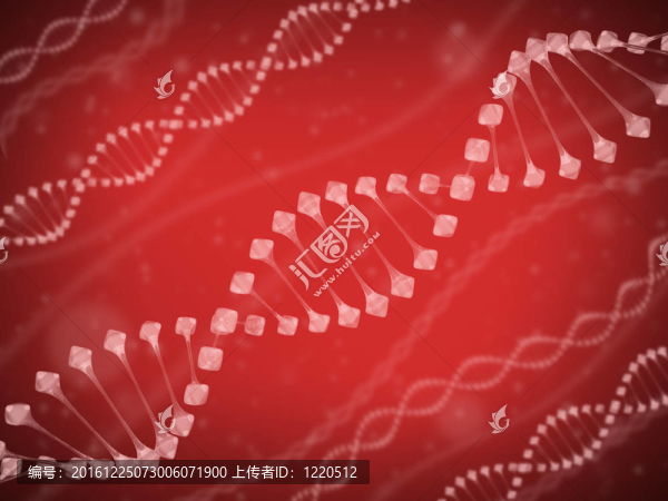 DNA鏈