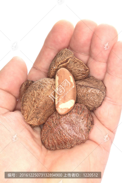 巴西堅(jiān)果