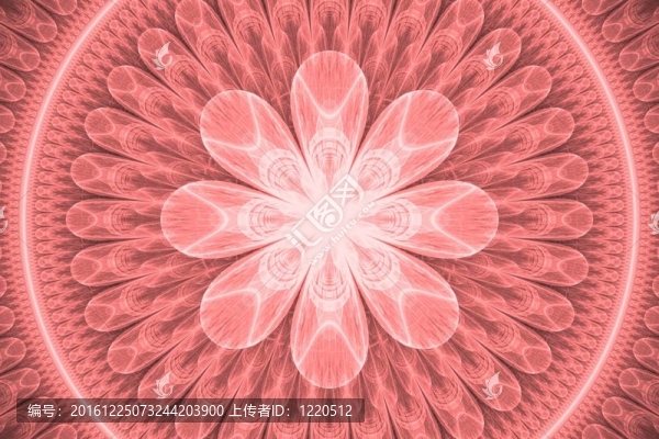 粉紅色的花