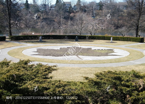 多倫多高公園大楓葉2010