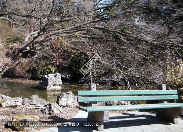 多倫多高公園長椅2010
