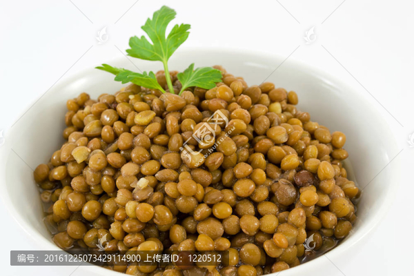 扁豆