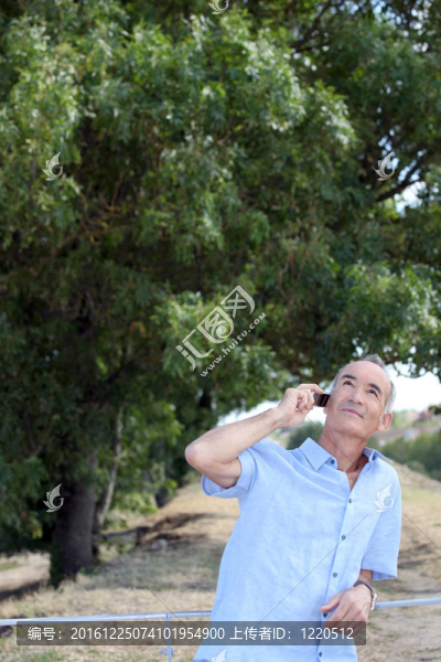 老人在樹前打電話