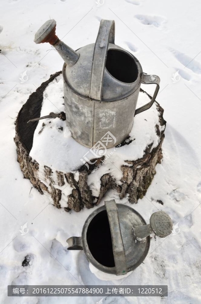 在雪地里澆水罐頭