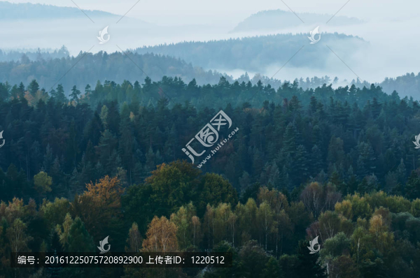 霧蒙蒙的早晨