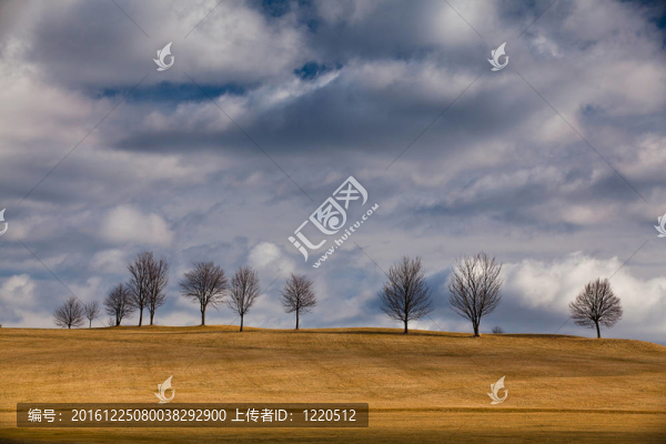綠色高爾夫球場