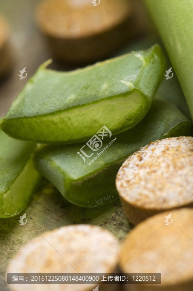 蘆薈植物丸-草藥