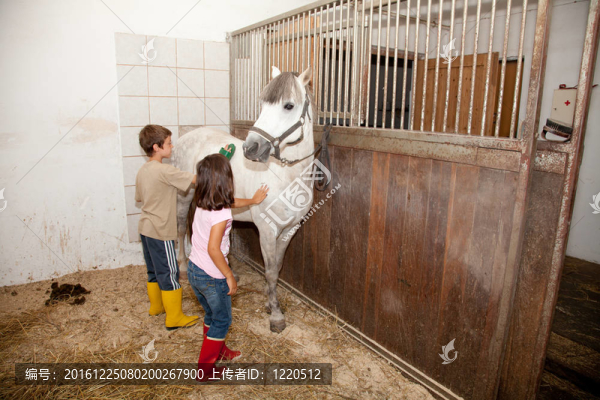 男孩和女孩裝飾馬