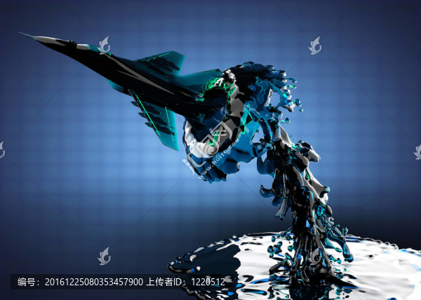 水上軍用飛機