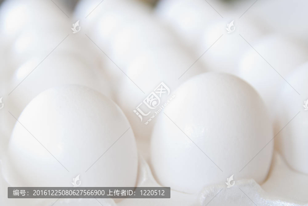 雞蛋