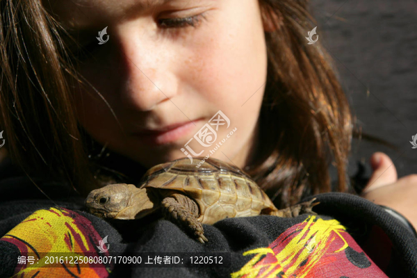 女孩拿著烏龜