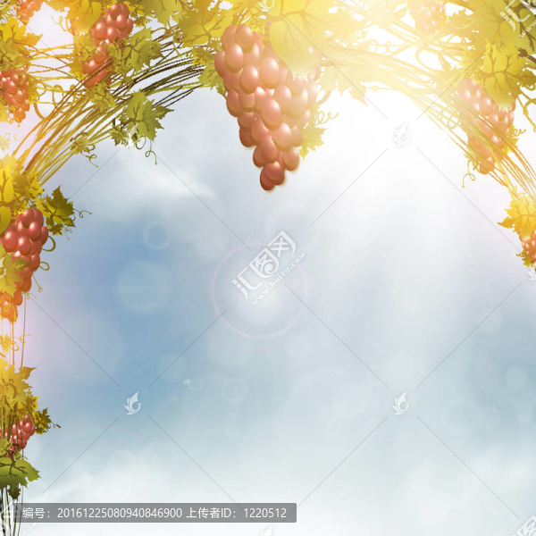 紅葡萄