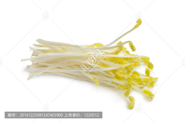 新鮮豌豆苗