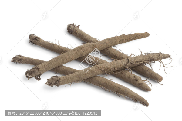 牛蒡根