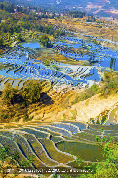 云南元陽梯田美麗壯觀的風(fēng)景