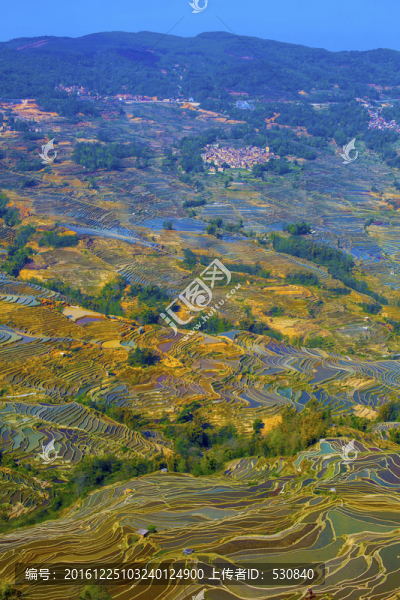 云南元陽梯田美麗壯觀的風(fēng)景