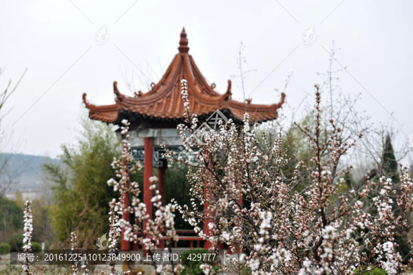 園林建筑,涼亭