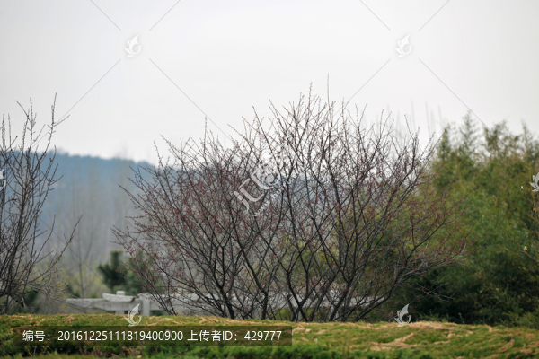 園林風(fēng)景,,園林景觀(guān)