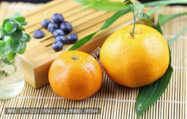 橘子