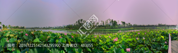 遂寧河?xùn)|