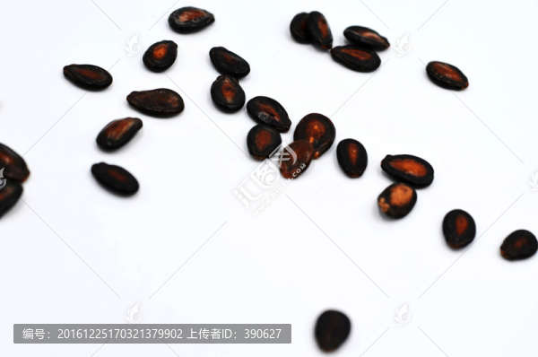 散落在白色背景上的西瓜子