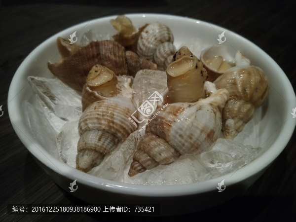 冰鎮(zhèn)海螺
