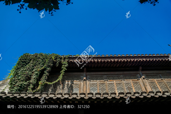 臺(tái)兒莊古城風(fēng)光