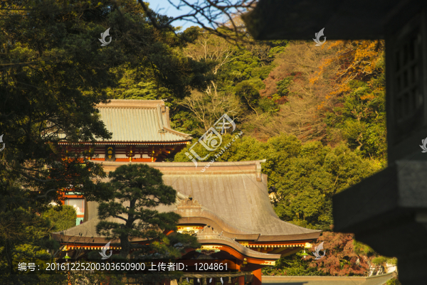 秋日神社