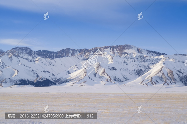 雪原