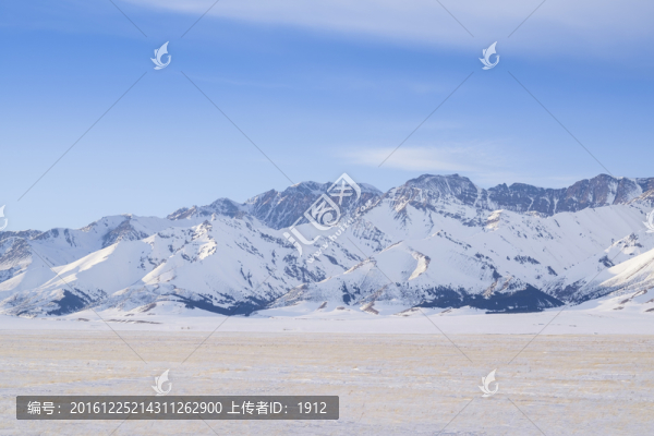 雪原