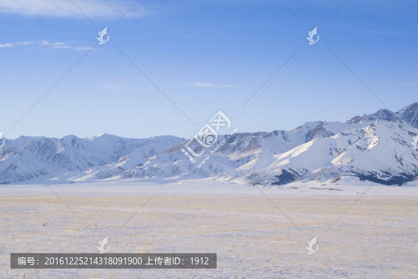 雪原