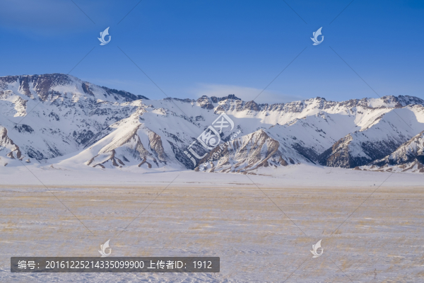 雪原