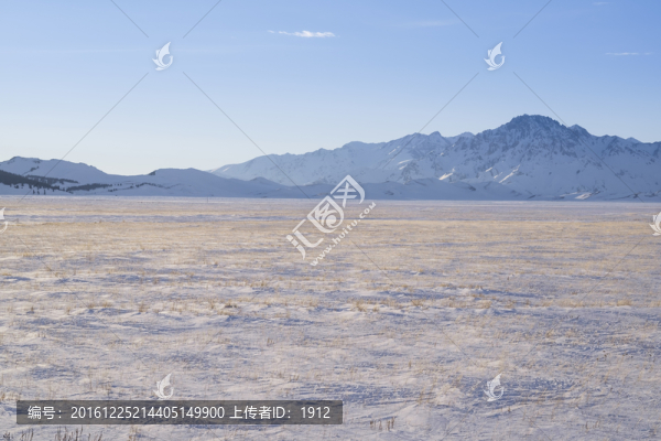 雪原