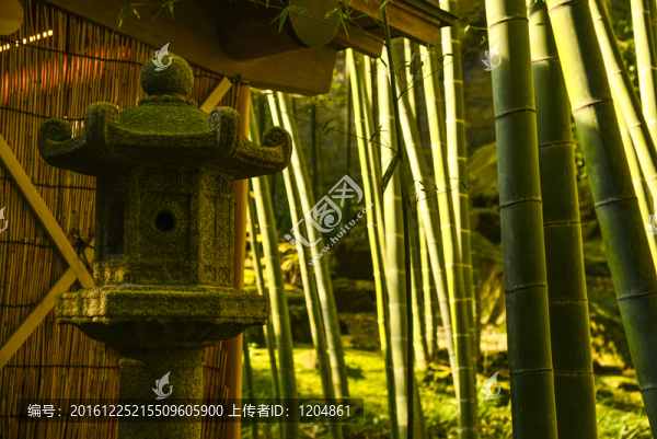竹林茅舍