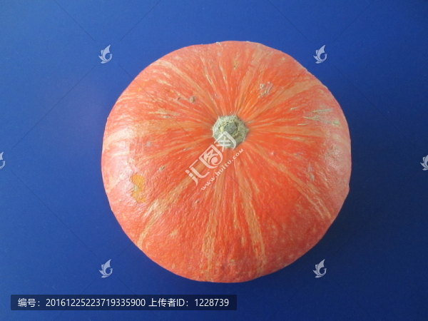 美麗南瓜