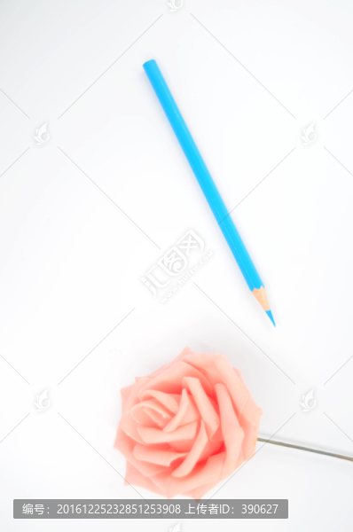 白色背景上的玫瑰花和鉛筆