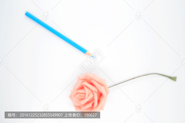 白色背景上的玫瑰花和鉛筆
