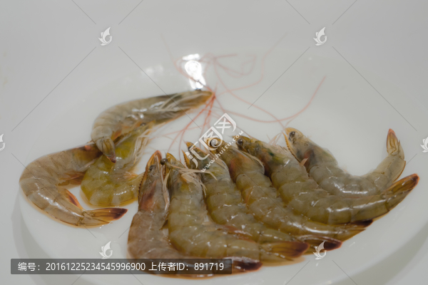 北美對蝦,大蝦,新鮮蝦